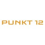 punkt12-in-the-press-logo